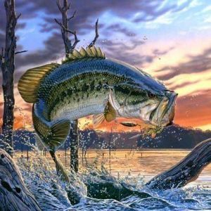 Meet your Posher, Mason